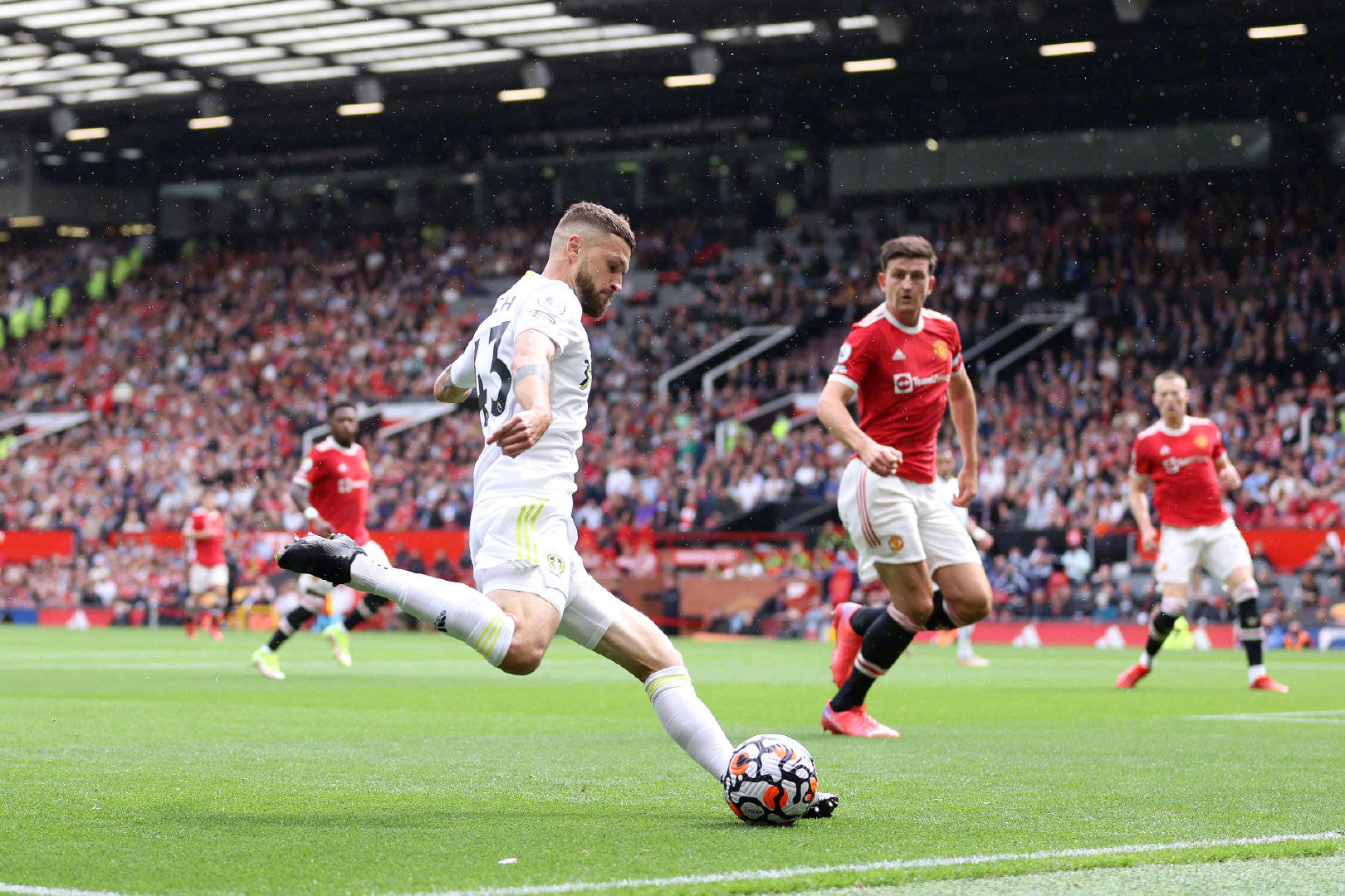 巴西人的 巴西人的